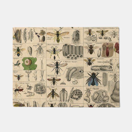 Bijen Insect Bug Wasp Natuurlijke Geschiedenis Deurmat (Voorkant)