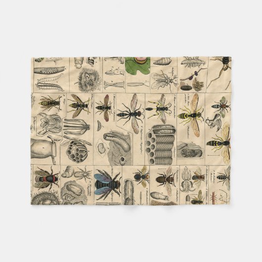 Bijen Insect Bug Wasp Natuurlijke Geschiedenis Fleece Deken (Voorkant (Horizontaal))