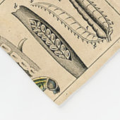 Bijen Insect Bug Wasp Natuurlijke Geschiedenis Fleece Deken (Hoek)