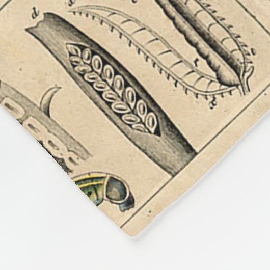 Bijen Insect Bug Wasp Natuurlijke Geschiedenis Fleece Deken (Hoek)