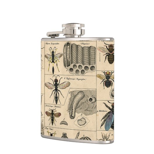 Bijen Insect Bug Wasp Natuurlijke Geschiedenis Heupfles (Links)