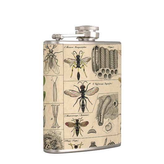 Bijen Insect Bug Wasp Natuurlijke Geschiedenis Heupfles (Rechts)