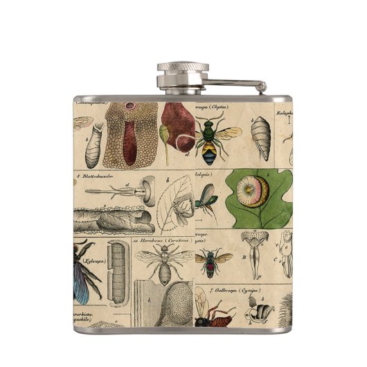 Bijen Insect Bug Wasp Natuurlijke Geschiedenis Heupfles (Achterkant)