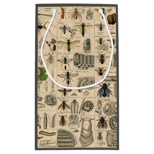 Bijen Insect Bug Wasp Natuurlijke Geschiedenis Klein Cadeauzakje (Achterkant)