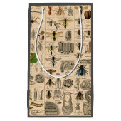 Bijen Insect Bug Wasp Natuurlijke Geschiedenis Klein Cadeauzakje (Voorkant)