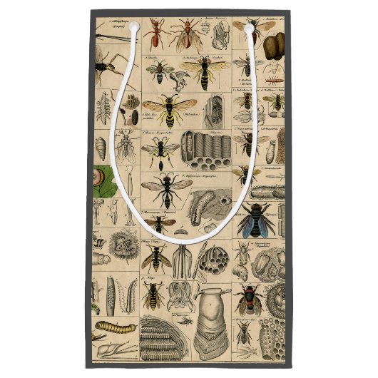 Bijen Insect Bug Wasp Natuurlijke Geschiedenis Klein Cadeauzakje (Voorkant)