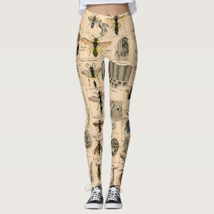 Bijen Insect Bug Wasp Natuurlijke Geschiedenis Leggings