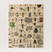Bijen Insect Bug Wasp Natuurlijke Geschiedenis Legpuzzel (Verticaal)