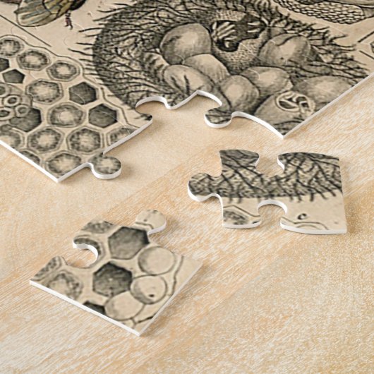 Bijen Insect Bug Wasp Natuurlijke Geschiedenis Legpuzzel (Zijkant)