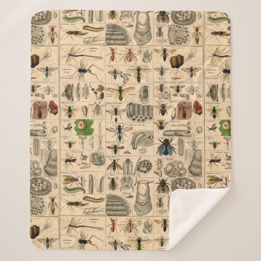 Bijen Insect Bug Wasp Natuurlijke Geschiedenis Sherpa Deken (Voorkant)
