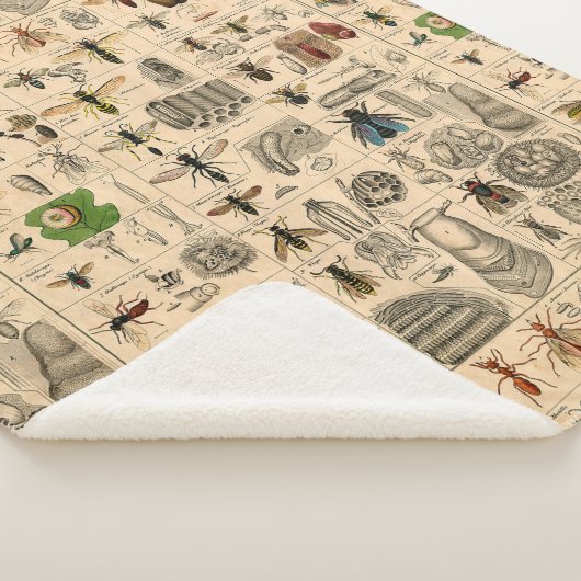 Bijen Insect Bug Wasp Natuurlijke Geschiedenis Sherpa Deken (3/4)