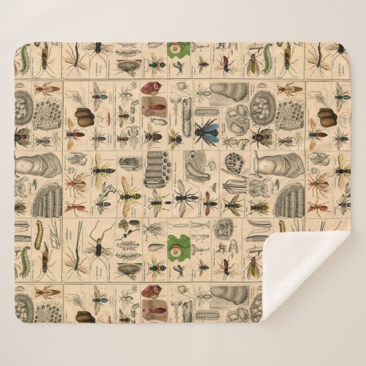 Bijen Insect Bug Wasp Natuurlijke Geschiedenis Sherpa Deken (Voorkant (horizontaal))