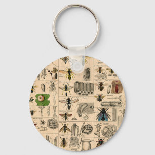 Bijen Insect Bug Wasp Natuurlijke Geschiedenis Sleutelhanger