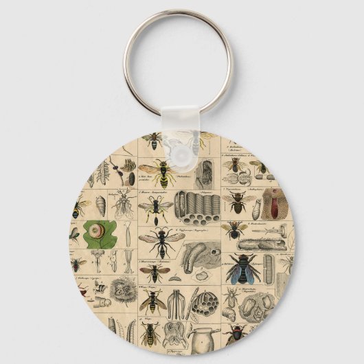 Bijen Insect Bug Wasp Natuurlijke Geschiedenis Sleutelhanger (Voorkant)