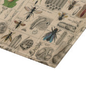 Bijen Insect Bug Wasp Natuurlijke Geschiedenis Snijplank (Hoek)