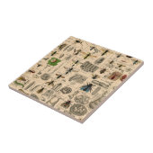 Bijen Insect Bug Wasp Natuurlijke Geschiedenis Tegeltje (Zijkant)