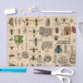 Bijen Insect Bug Wasp Natuurlijke Geschiedenis Tissuepapier (Craft)