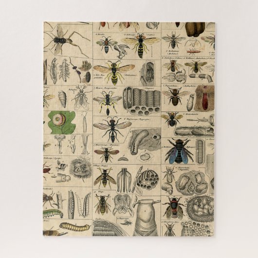 Bijen Insect Bug Wesp Natuurlijke Historie Bijen Legpuzzel (Verticaal)