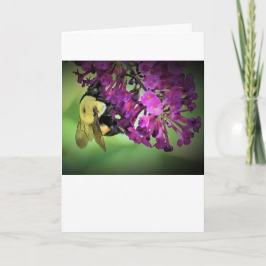 Bijen, kaart (Voorkant)