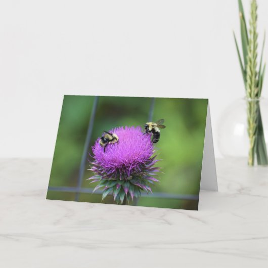 Bijen, kaart (Voorkant)