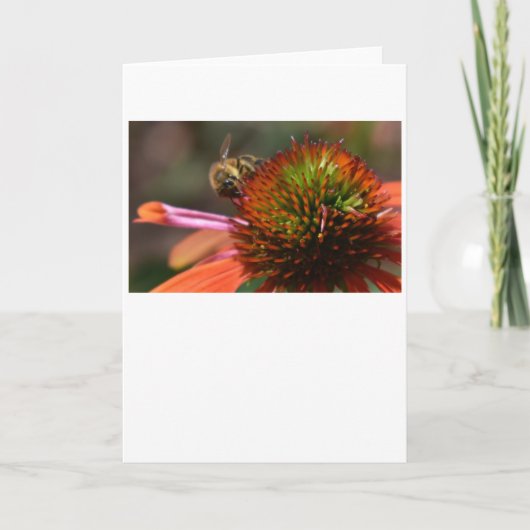 Bijen, kaart (Voorkant)