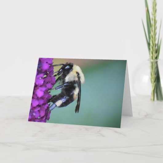 Bijen, kaart (Voorkant)