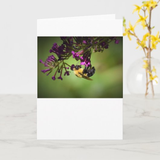 Bijen, kaart (Gele Bloem)