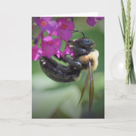 Bijen, kaart (Voorkant)