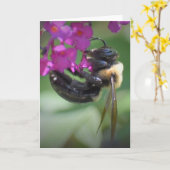 Bijen, kaart (Gele Bloem)