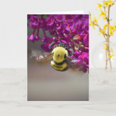 Bijen, kaart (Gele Bloem)