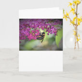 Bijen, kaart (Gele Bloem)