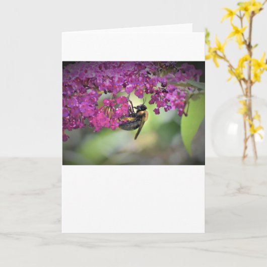 Bijen, kaart (Gele Bloem)