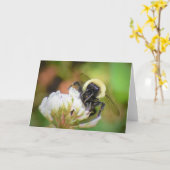 Bijen, kaart (Gele Bloem)