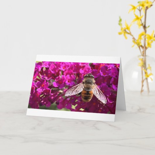 Bijen, kaart (Gele Bloem)