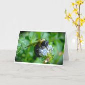 Bijen, kaart (Gele Bloem)