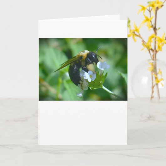 Bijen, kaart (Gele Bloem)