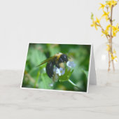 Bijen, kaart (Gele Bloem)