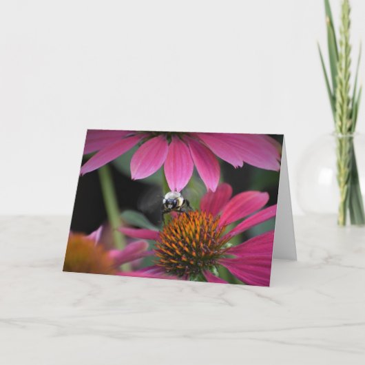 Bijen, kaart (Voorkant)