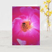 Bijen, kaart (Gele Bloem)