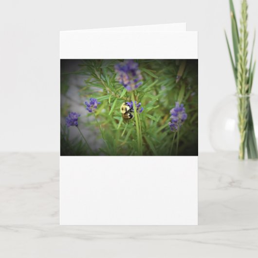 Bijen, kaart (Voorkant)