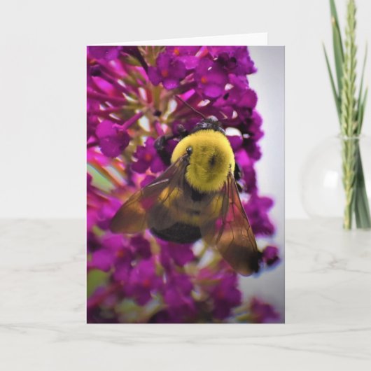 Bijen, kaart (Voorkant)