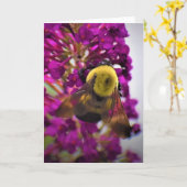 Bijen, kaart (Gele Bloem)