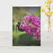 Bijen, kaart (Gele Bloem)