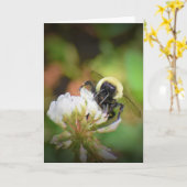 Bijen, kaart (Gele Bloem)