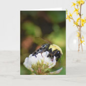 Bijen, kaart (Gele Bloem)