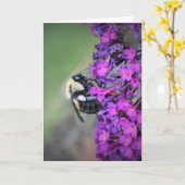 Bijen, kaart (Gele Bloem)