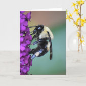 Bijen, kaart (Gele Bloem)