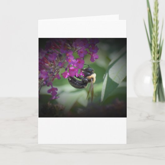 Bijen, kaart (Voorkant)