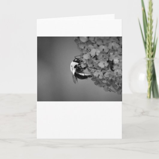 Bijen, kaart (Voorkant)