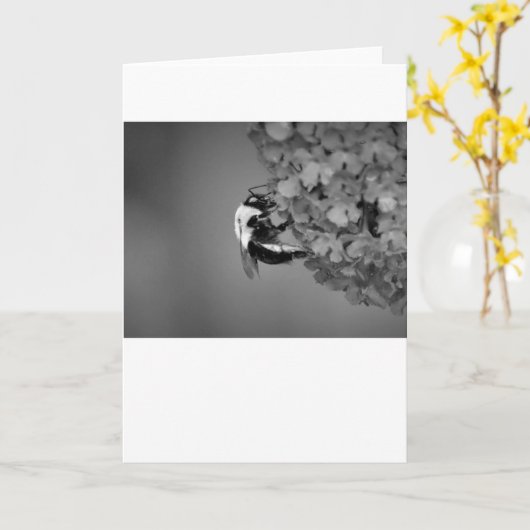 Bijen, kaart (Gele Bloem)